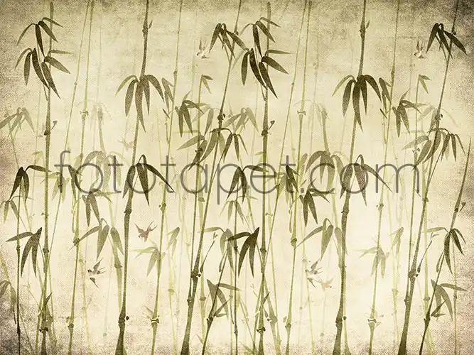 Fototapet Colectia Natur - Frunze Bambus